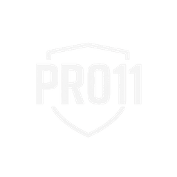 PRO11 Logo